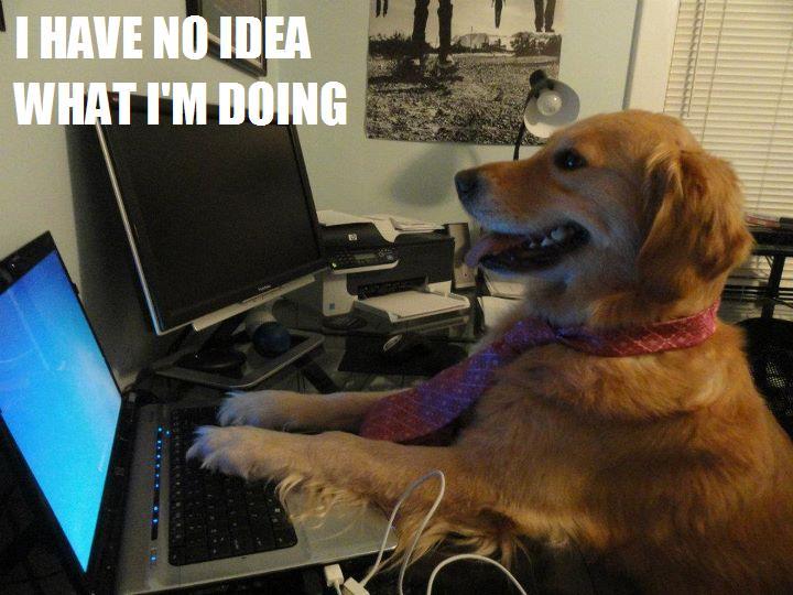 I HAVE NO IDEA WHAT I'M DOING