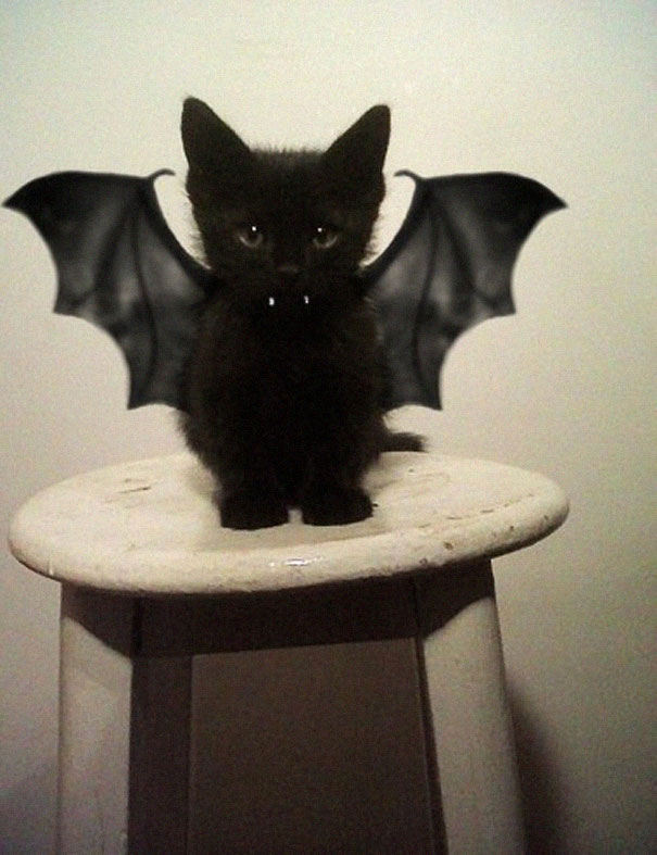 chat-batman