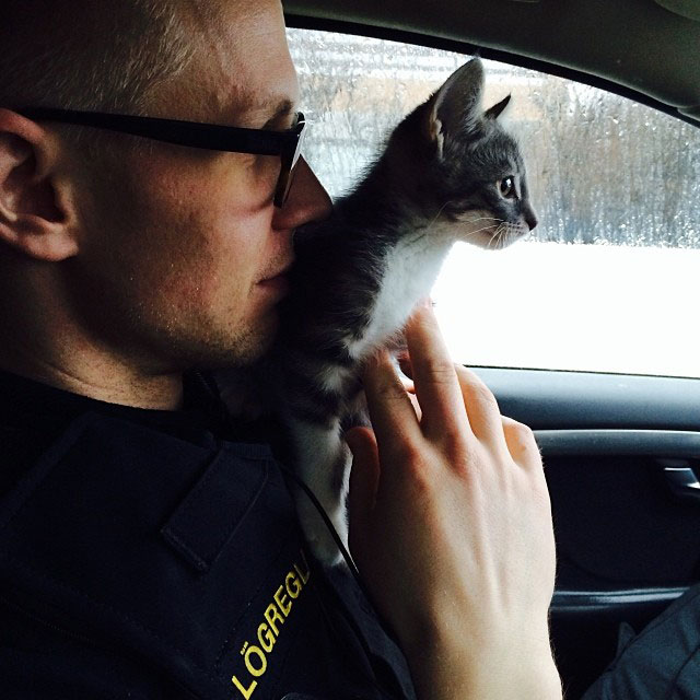 chat-policier