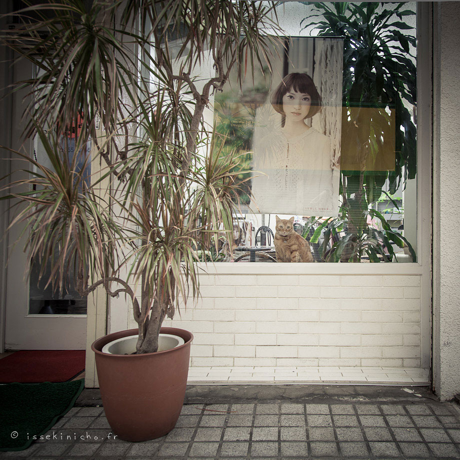 chat-portrait