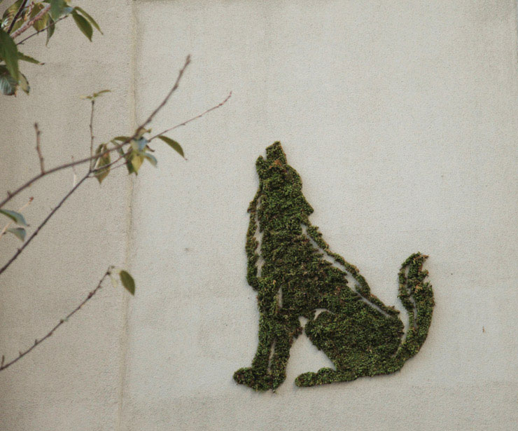 dessin-mural-mousse