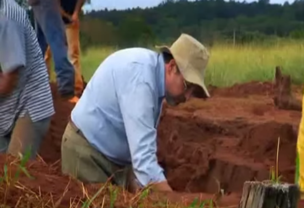 excavation-fourmiliere-capture-04