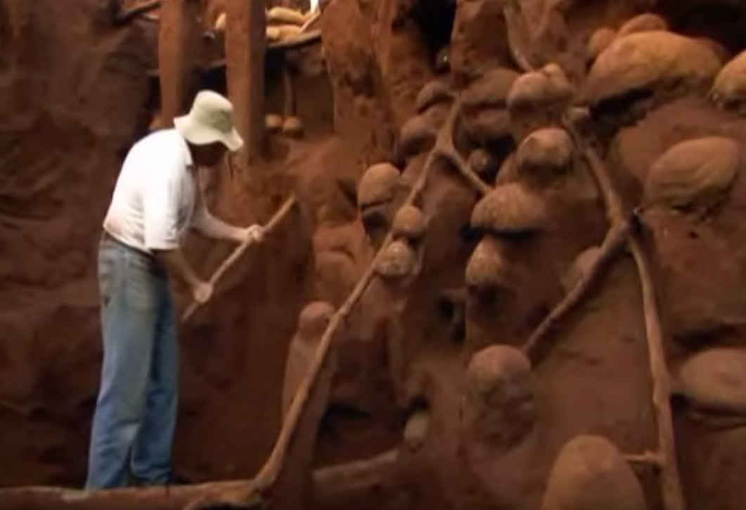 excavation-fourmiliere-capture-06