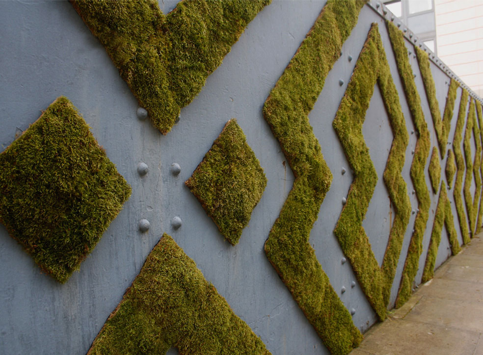 fresque-mousse
