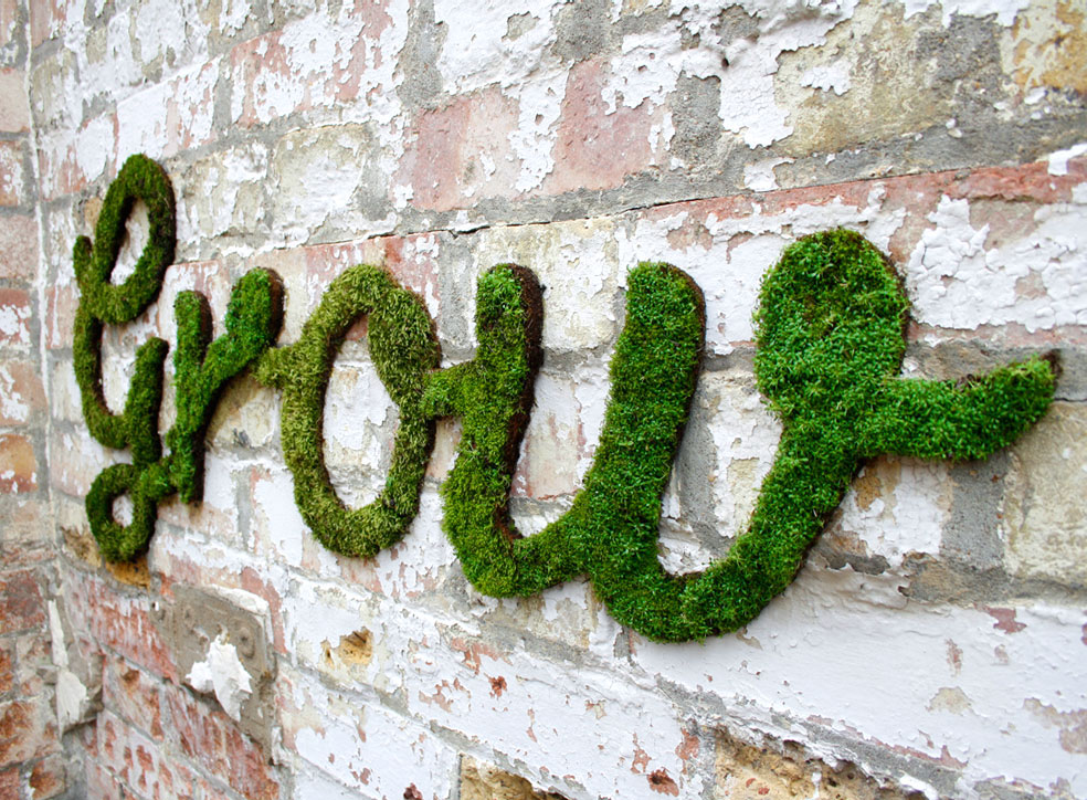 grow-graffiti-mousse