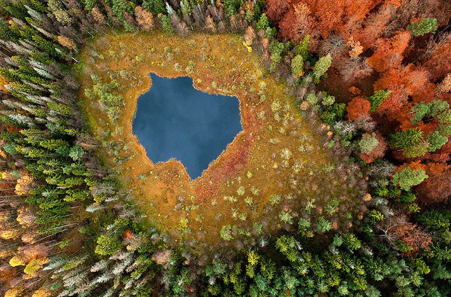 lac-foret-pologne-automne