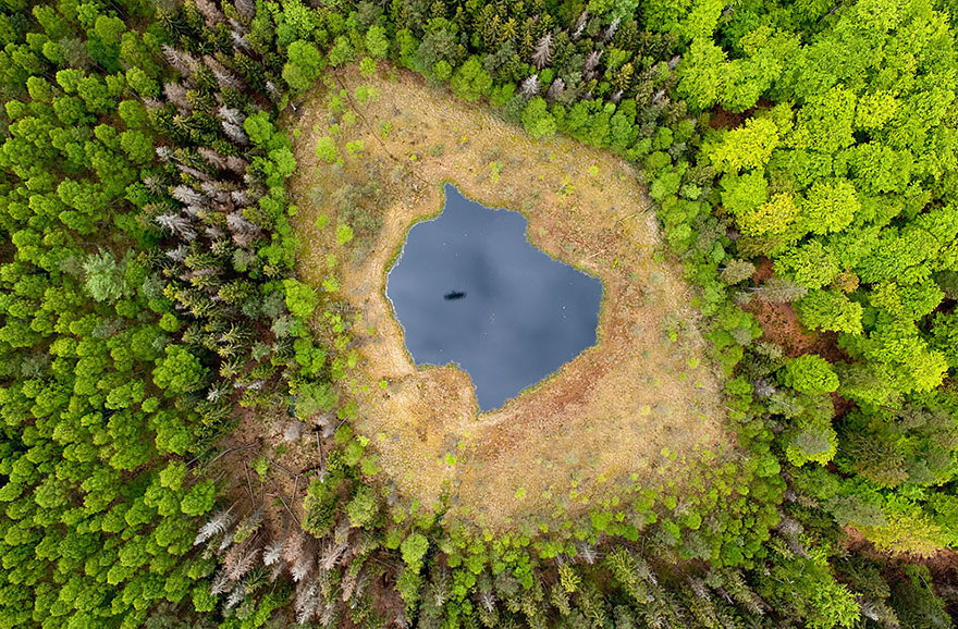 lac-foret-pologne