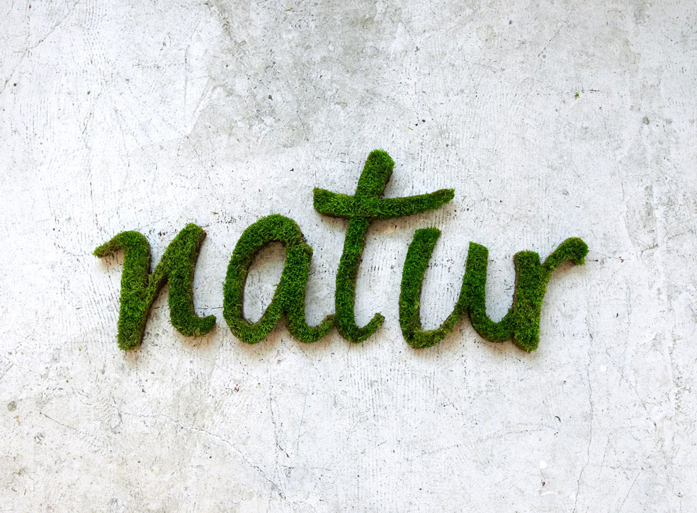 natur-oeuvre-mousse