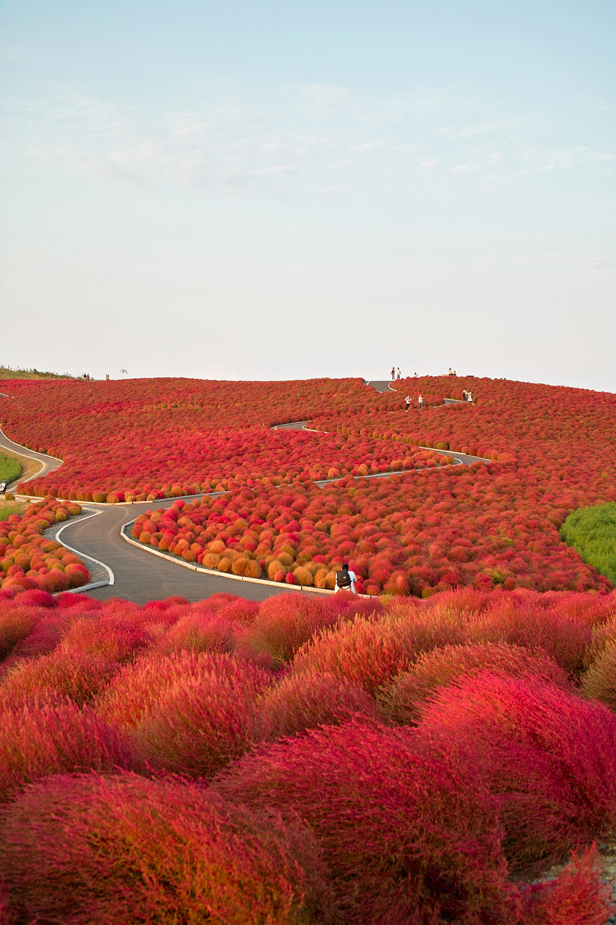 paysage-rouge-chine