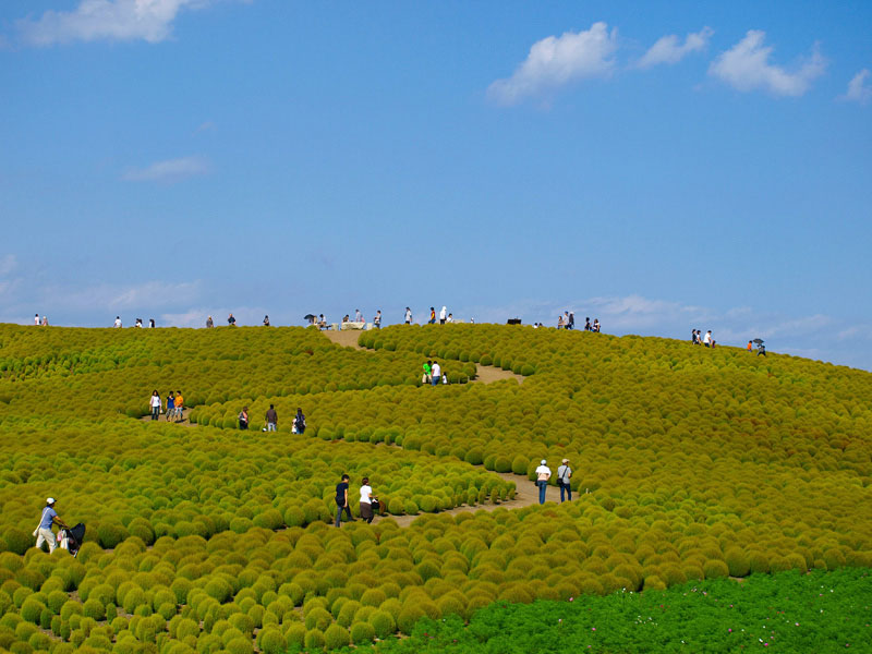 paysage-verdoyant-chine