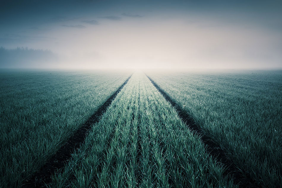 plaine-brume-finlande