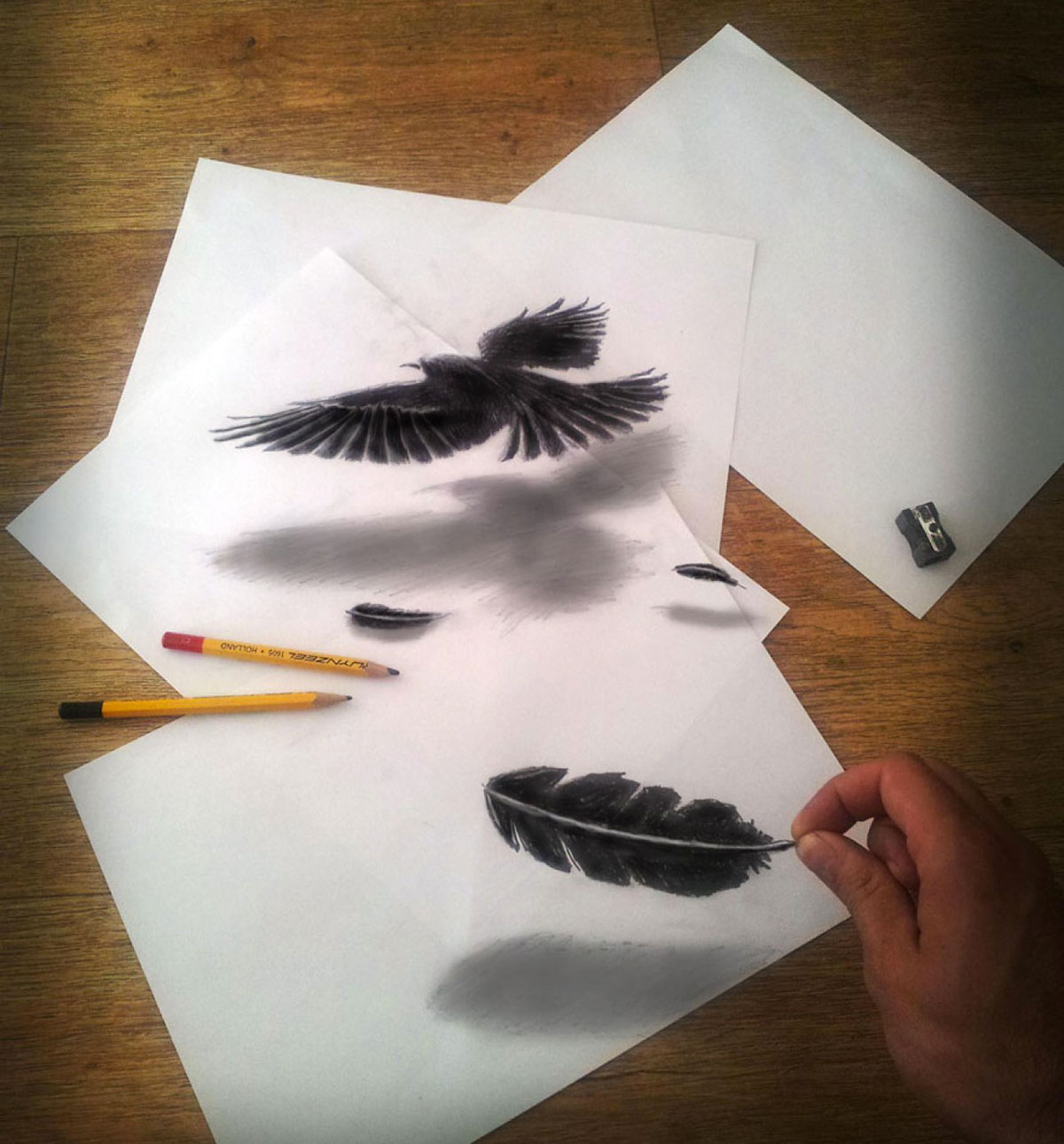 plume