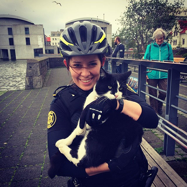 policiere-chat
