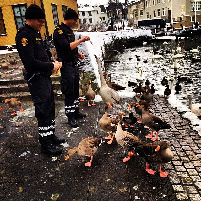 policiers-nourissent-canards