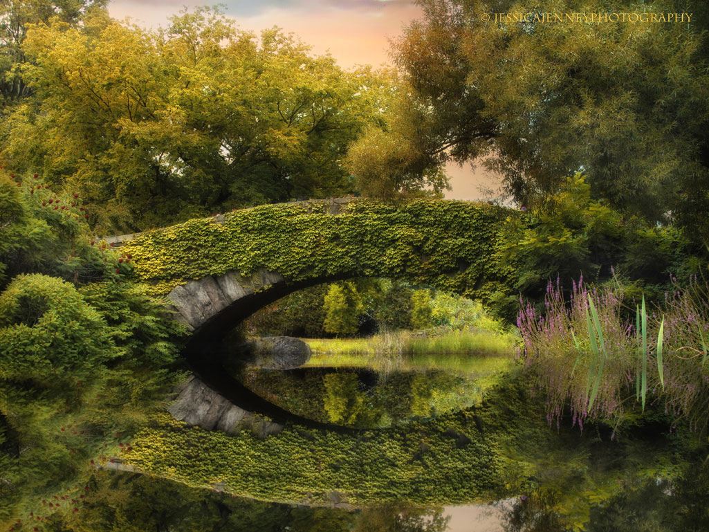 pont-riviere-foret