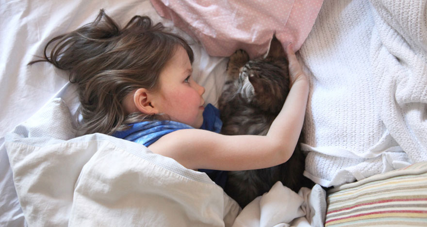 relation-complicite-chat-fillette