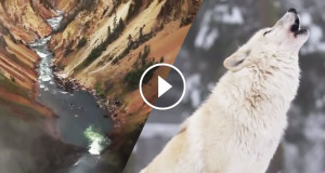 riviere-loups-une