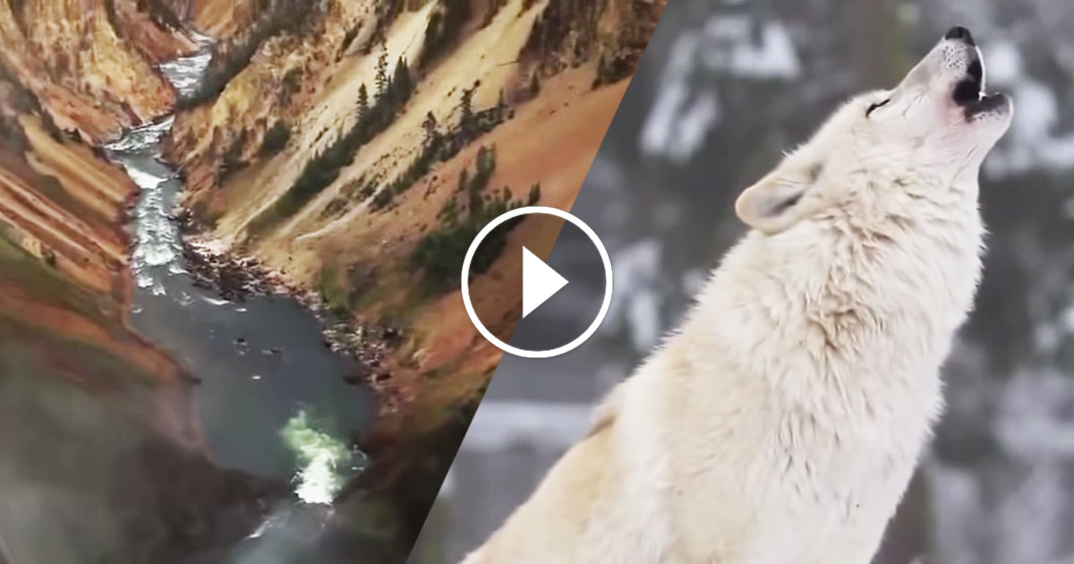 riviere-loups-une