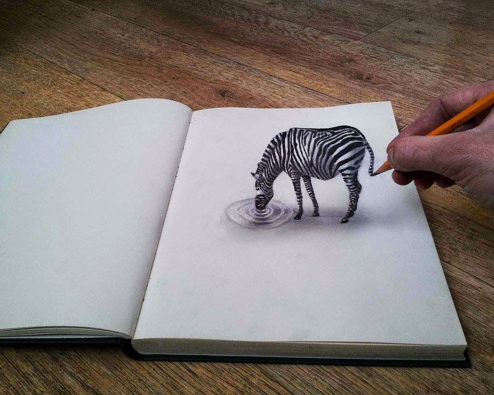 zebre