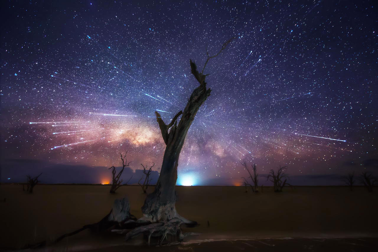 arbre-nuit-etoilee