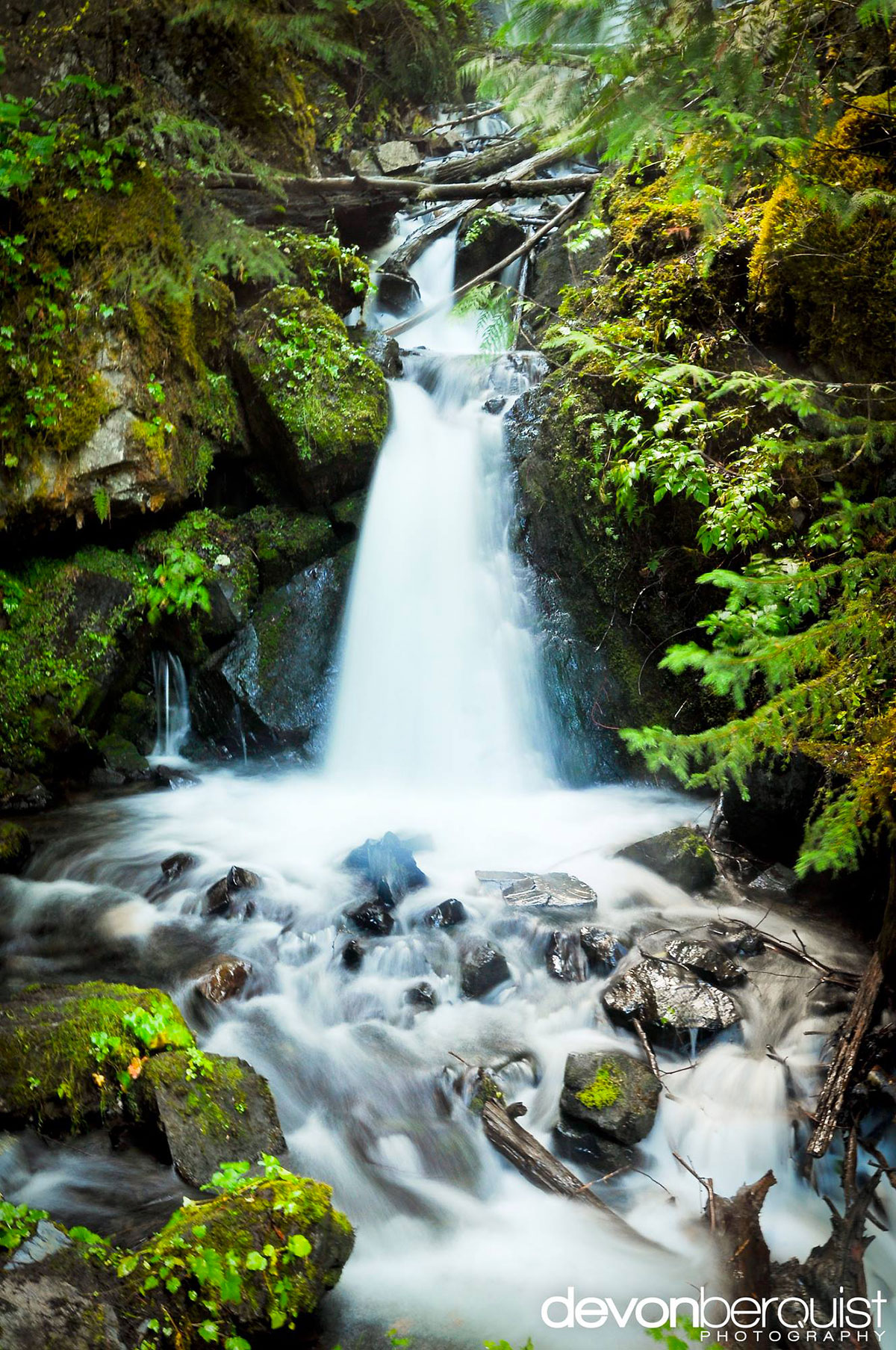 cascade-foret