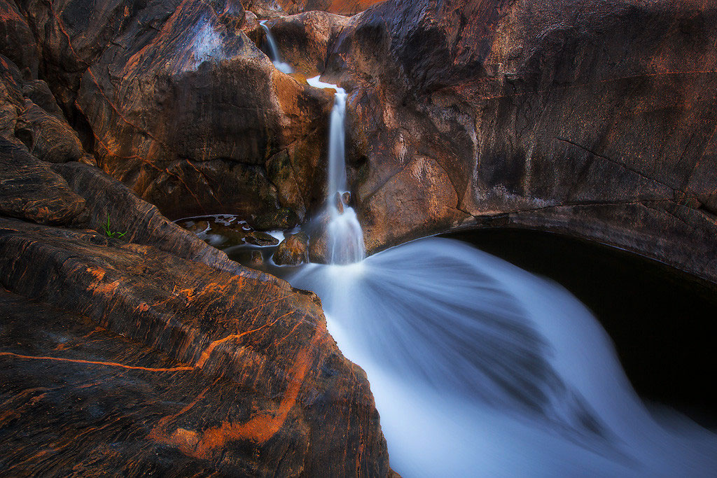 cascade-foret