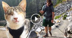 chat-une