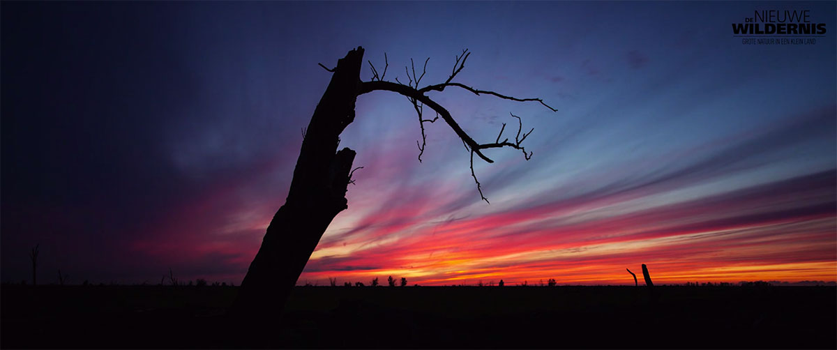 couleur-ciel