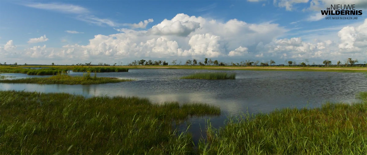 lac-verdure-nuage