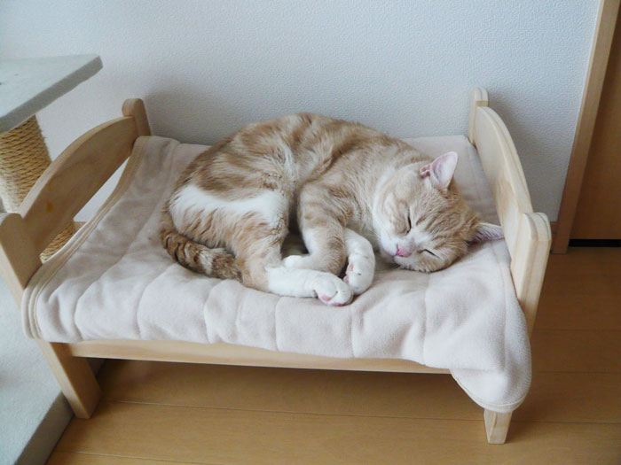 lit-jouets-ikea-devient-lit-pour-chat-01
