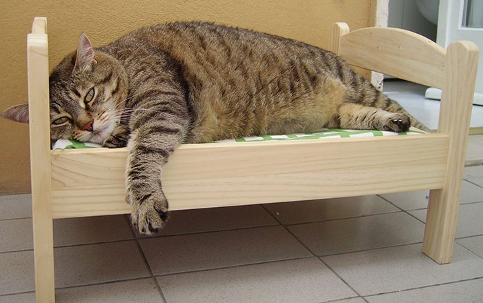 lit-jouets-ikea-devient-lit-pour-chat-05