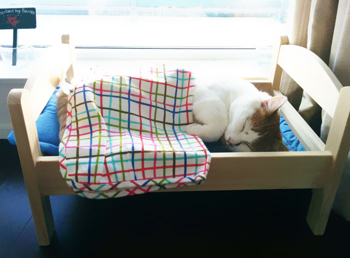 lit-jouets-ikea-devient-lit-pour-chat-06