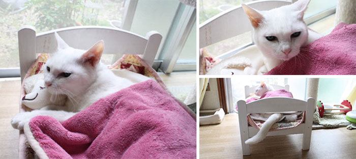 lit-jouets-ikea-devient-lit-pour-chat-07