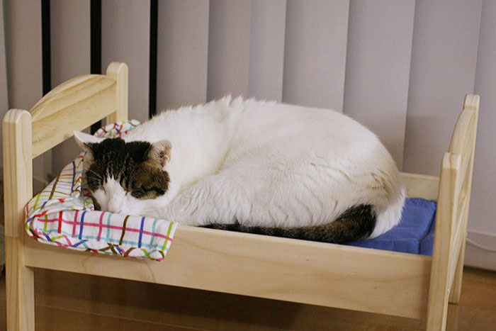 lit-jouets-ikea-devient-lit-pour-chat-10