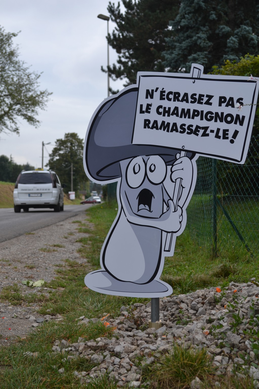 panneau-champignon