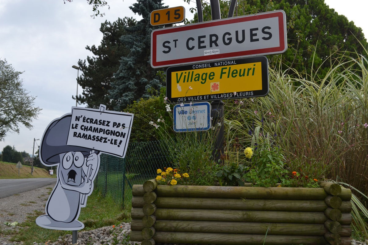 panneau-n-ecrasez-pas-le-champignon-ramassez-le
