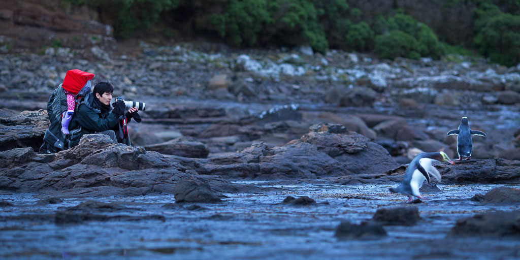 photo-nature-sauvage