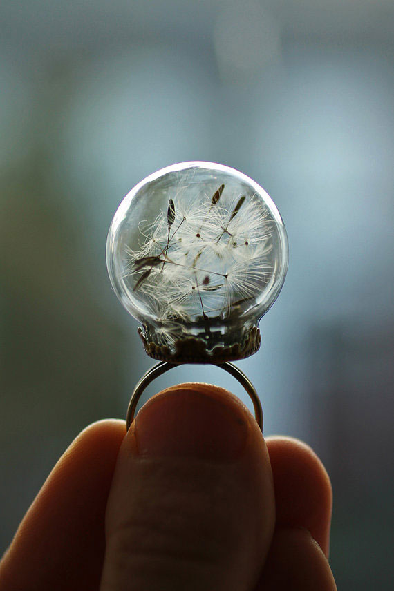 pissenlit-boule-verre