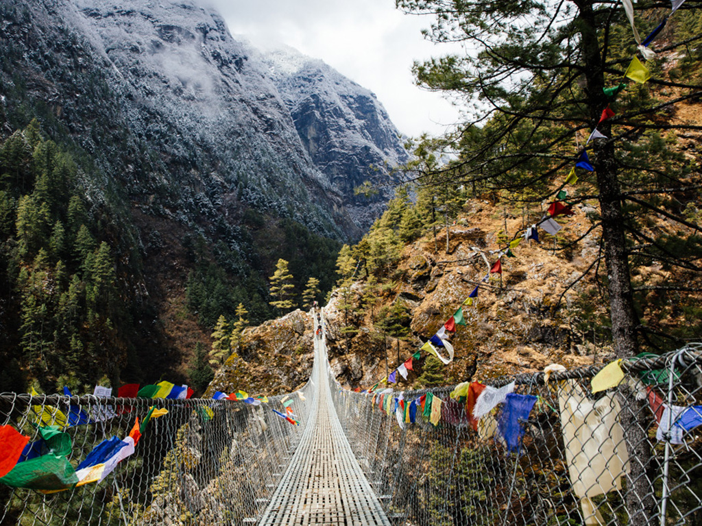 pont-singe