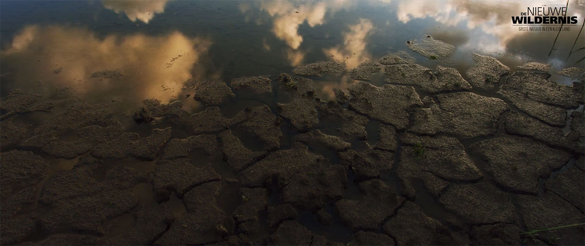 terre-arride