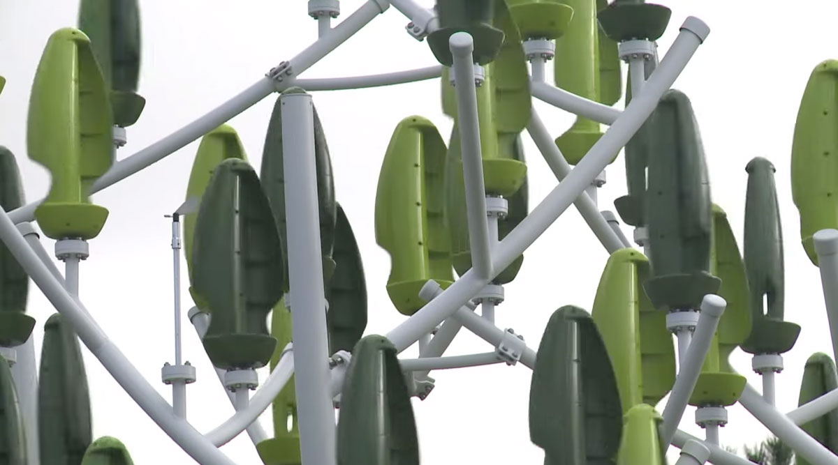 arbre-a-vent-afp-capture-01