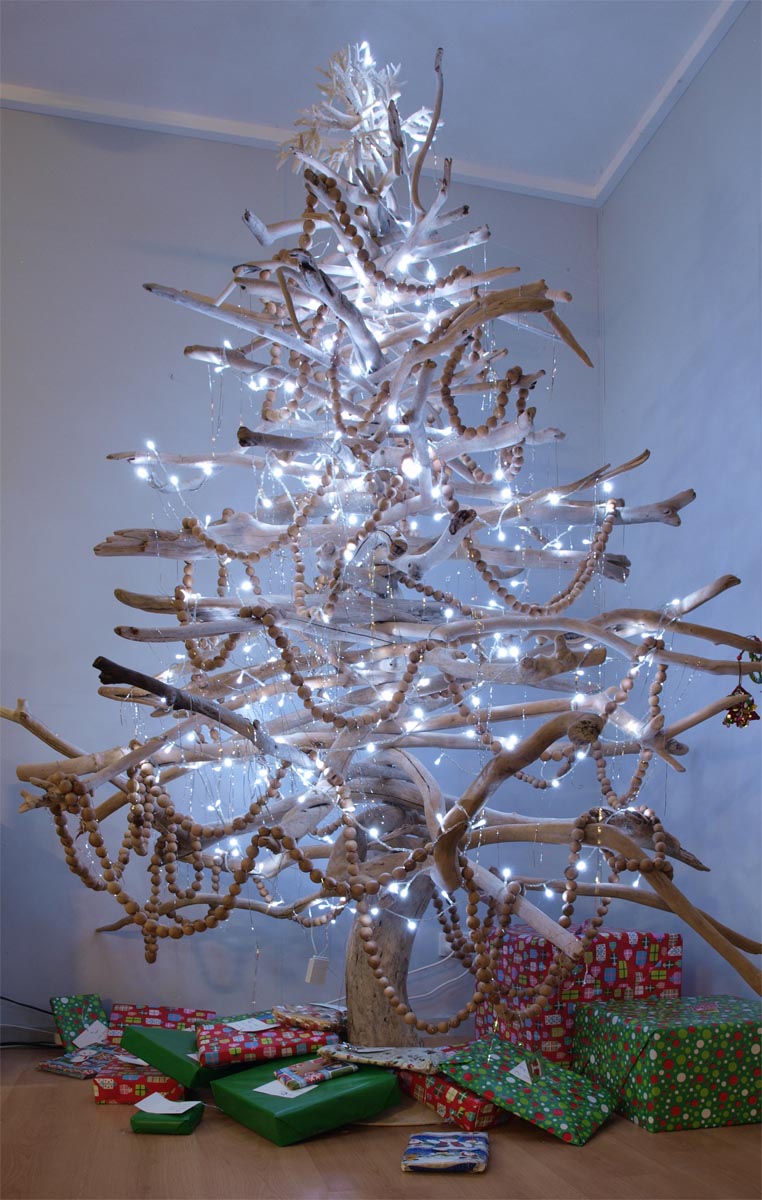 branches