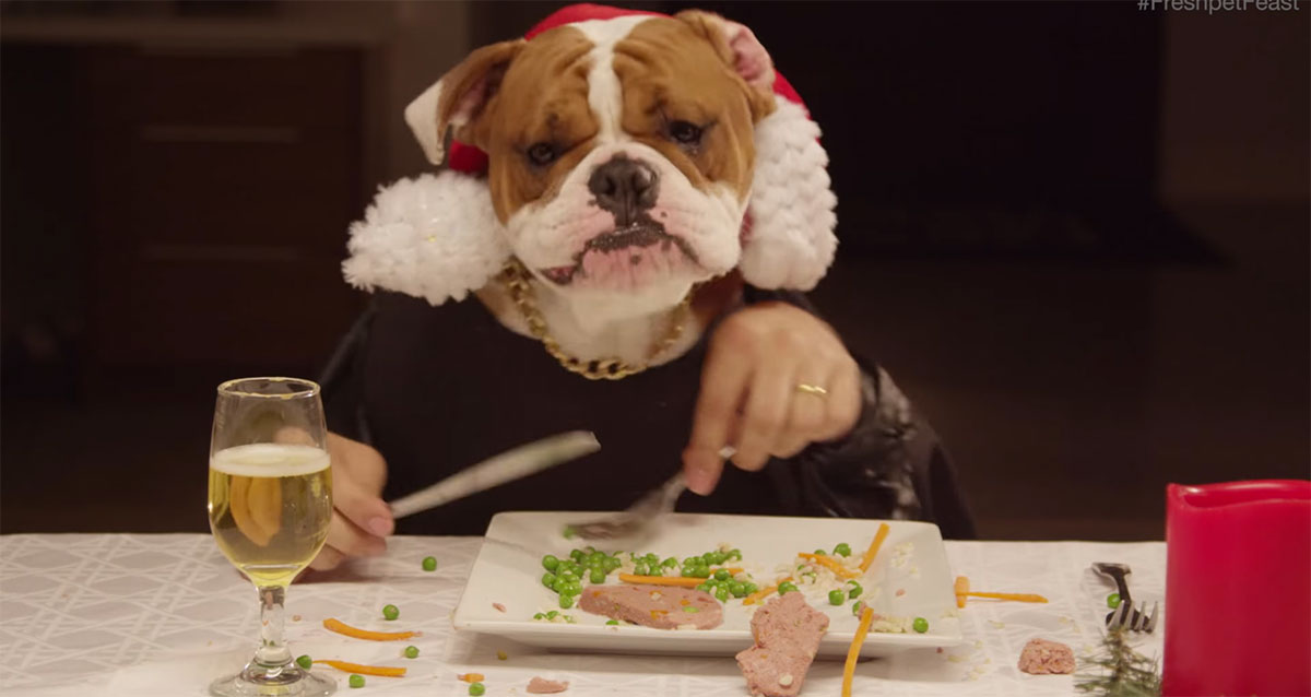 bulldog-anglais