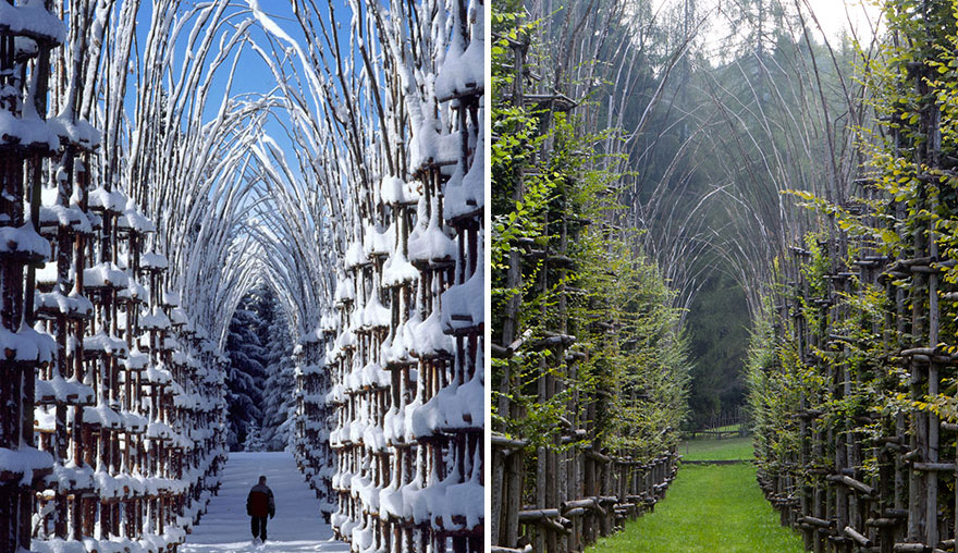 cathedrale-hiver