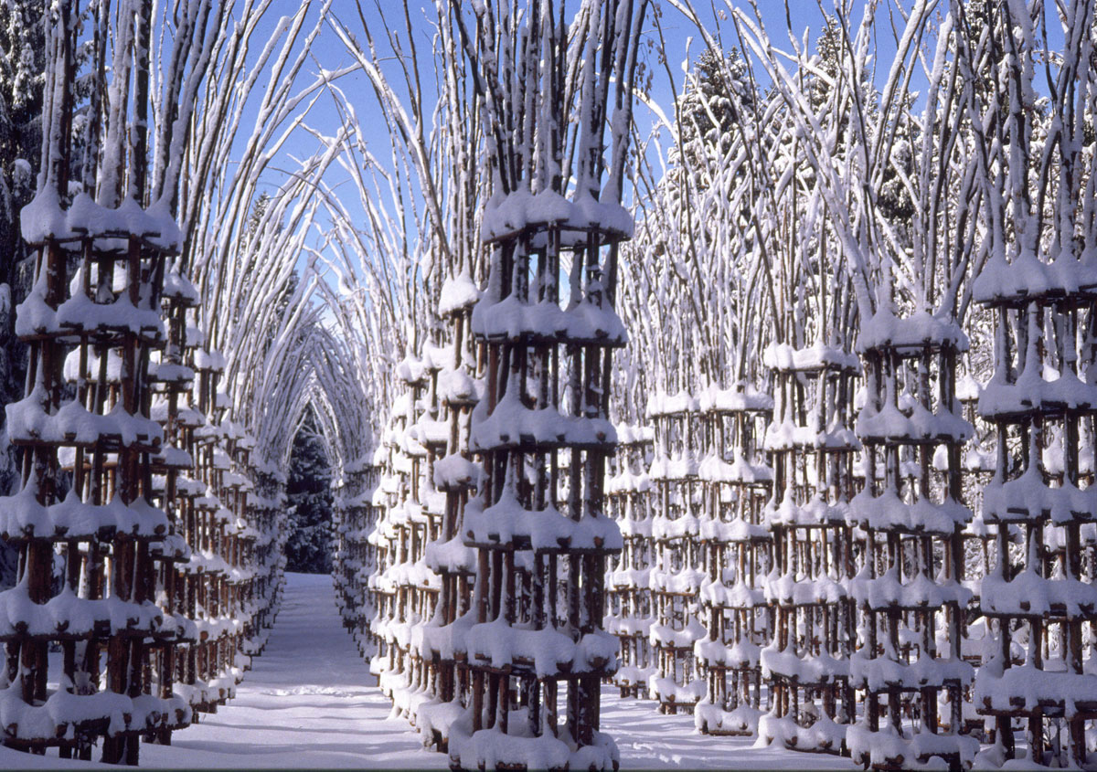 cathedrale-neige