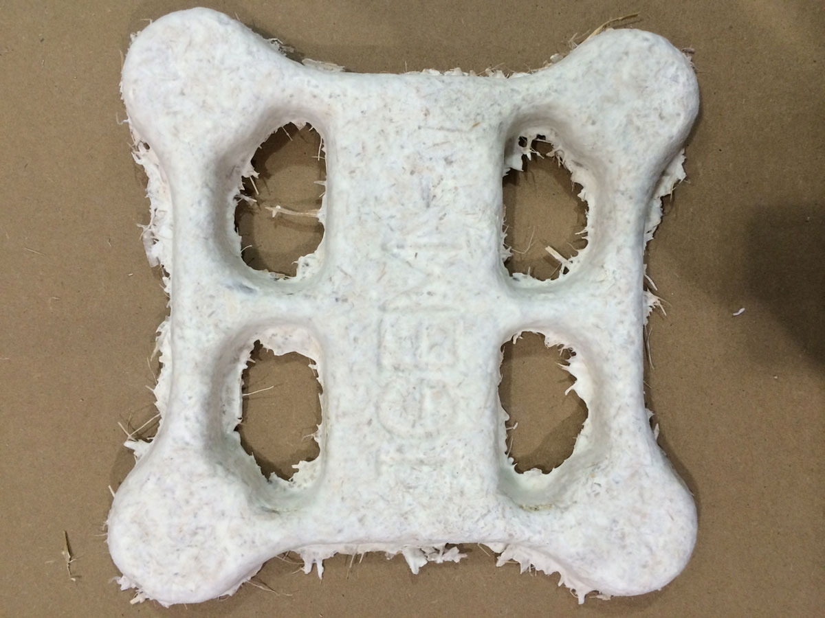 chassis-biodrone-nasa-champignon