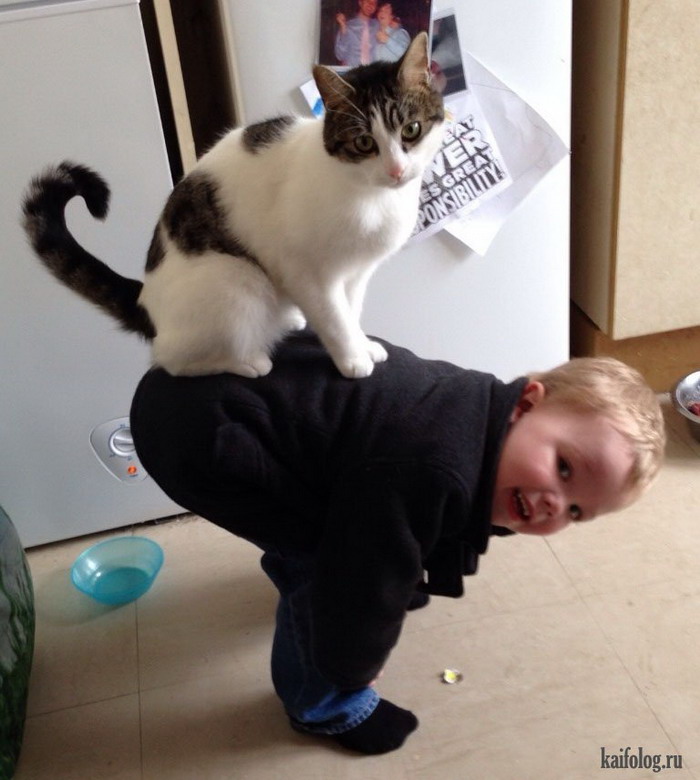 chat