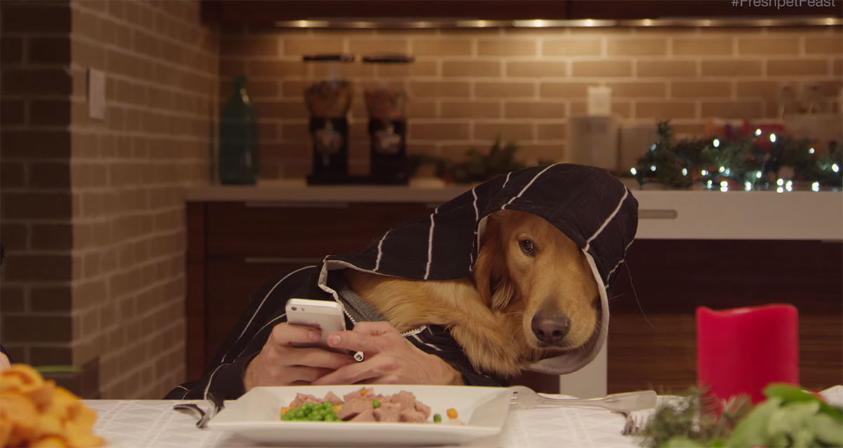 telephone-chien