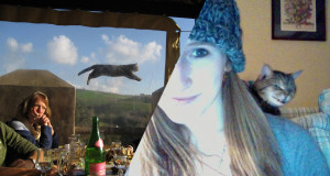 une chat