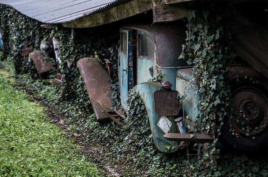 voiture-feuilles